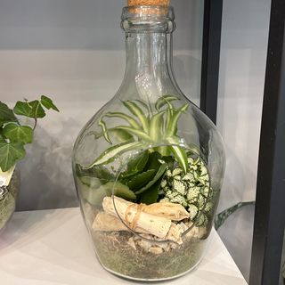 Стъклена бутилка 