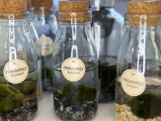 Marimo