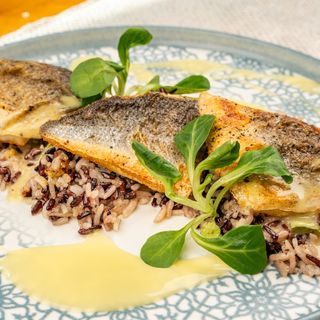 Филе лаврак