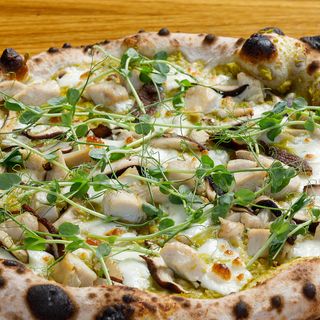 Умами Дел Соле