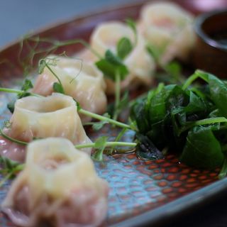 Gyoza с риба тон