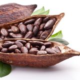 Топъл шоколад