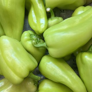 прясна чушка