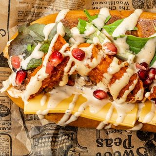 SOLO CRAZY SUMMER DOG