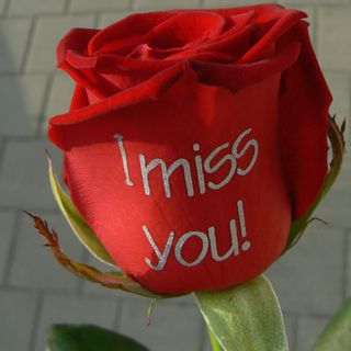 Рози с надпис "I MISS YOU!"