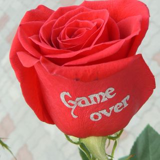 Рози с надпис "GAME OVER"