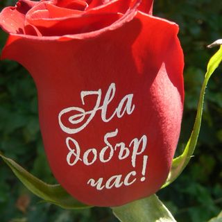 Рози с надпис "На добър час!"