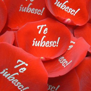 "Обичам те!" на избран от Вас език (със СРЕБРО)