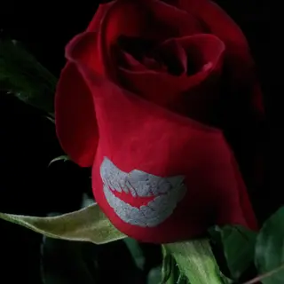 Целувка