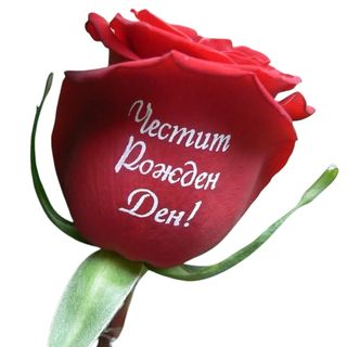 Рози с надпис "Честит Рожден Ден"