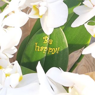 Орхидея със златен надпис по избор