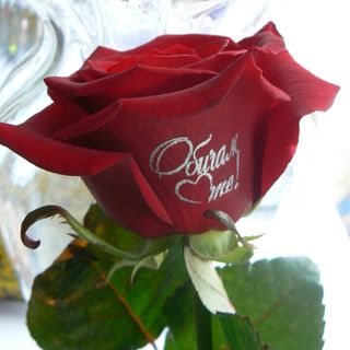 "Обичам те!" 