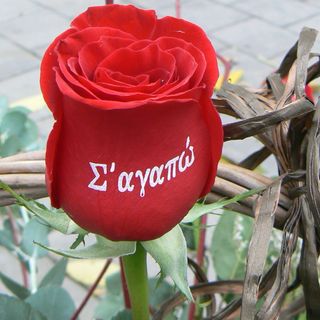 Букет от 21 рози "Обичам те!" (на избран от Вас език)