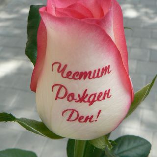 "Честит Рожден Ден"