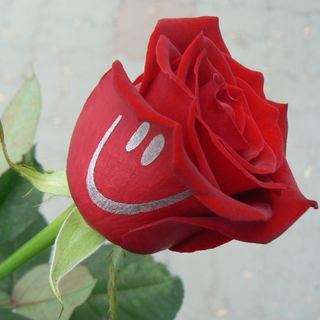 "Усмихни се!"