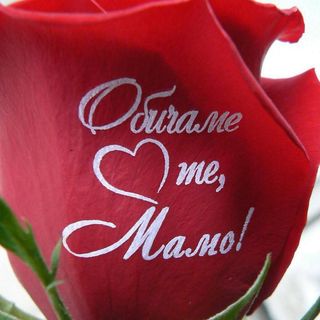 Обичаме те, Мамо!