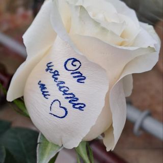 Рози с надпис "От цялото ми сърце"