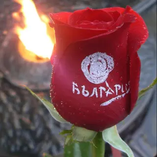 Ваза с рози със знак: България – лого