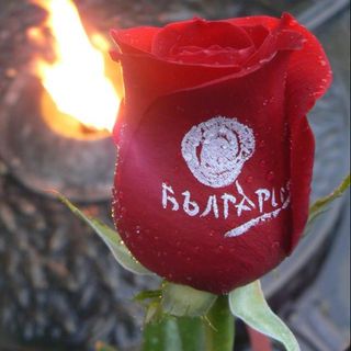 България – лого 