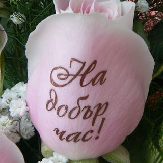 "На добър час!"
