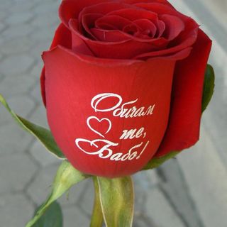 ВАЗА с рози с надпис: "Обичам те, Бабо!"