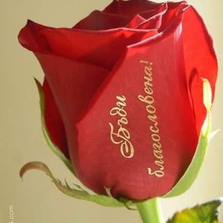 Ваза:"Бъди благословена" - 7 рози с надпис