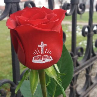 Честито Възкресение Христово!