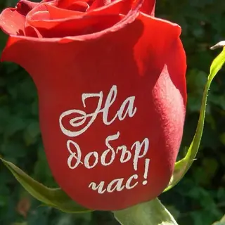 'На добър час!'