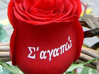 Рози с надпис "Σ' αγαπώ!"