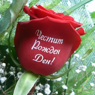 Ваза: "Честит Рожден Ден" - 7 рози с надпис