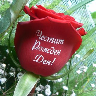 Ваза: "Честит Рожден Ден" - 7 рози с надпис