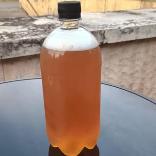 Glarus draught Premium Pale Ale 1L