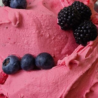 Горски плодове Сорбе (900гр)