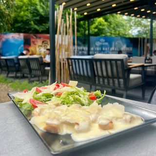 Пилешко филе с пармезанов сос със свежи салатки