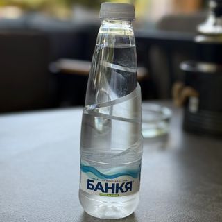 Банкя 0.400 л.