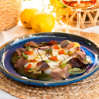 Карпачо гребешок