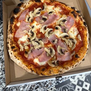 Кото и Фунги 