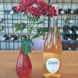 Мавруд Ilaya, 2024 - Manastira Winery
