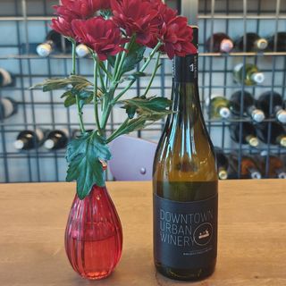 Совиньон Блан Premium, 2024 - Downtown Urban Winery