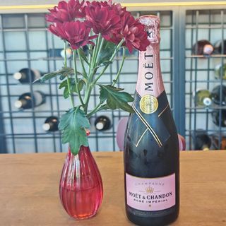 Champagne Rose - Moet & Chandon