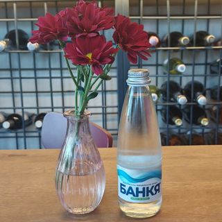 Минерална вода Банкя