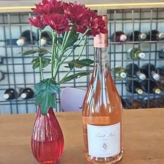 Пино Ноар 2024-Simenta Winery Estate