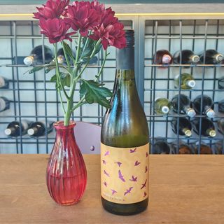 Riesling Italico, 2025 - Pink Pelican