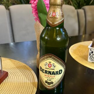 Бърнард 0.500