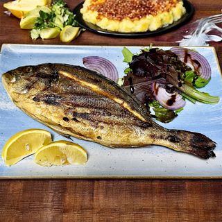 Ципура на скара