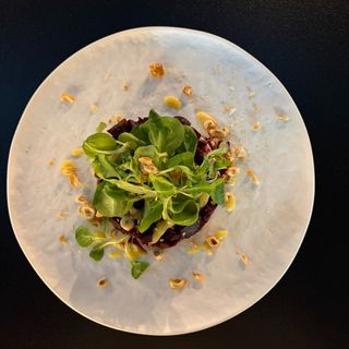 Салата Тера