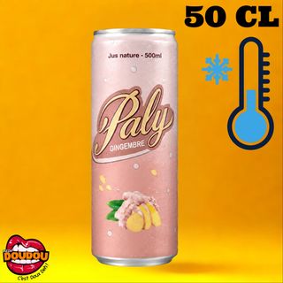 Jus Gingembre (50cL)