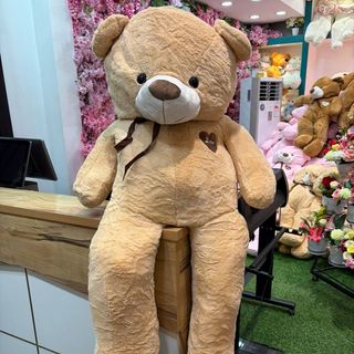 Peluche 1M60