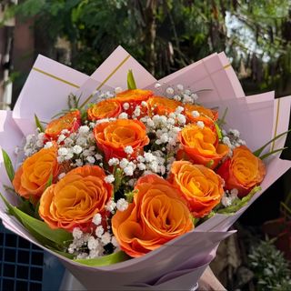 Rose orange
