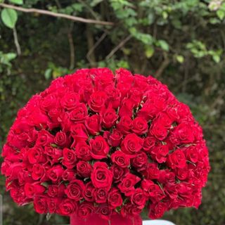 Bouquet très spécial coffret